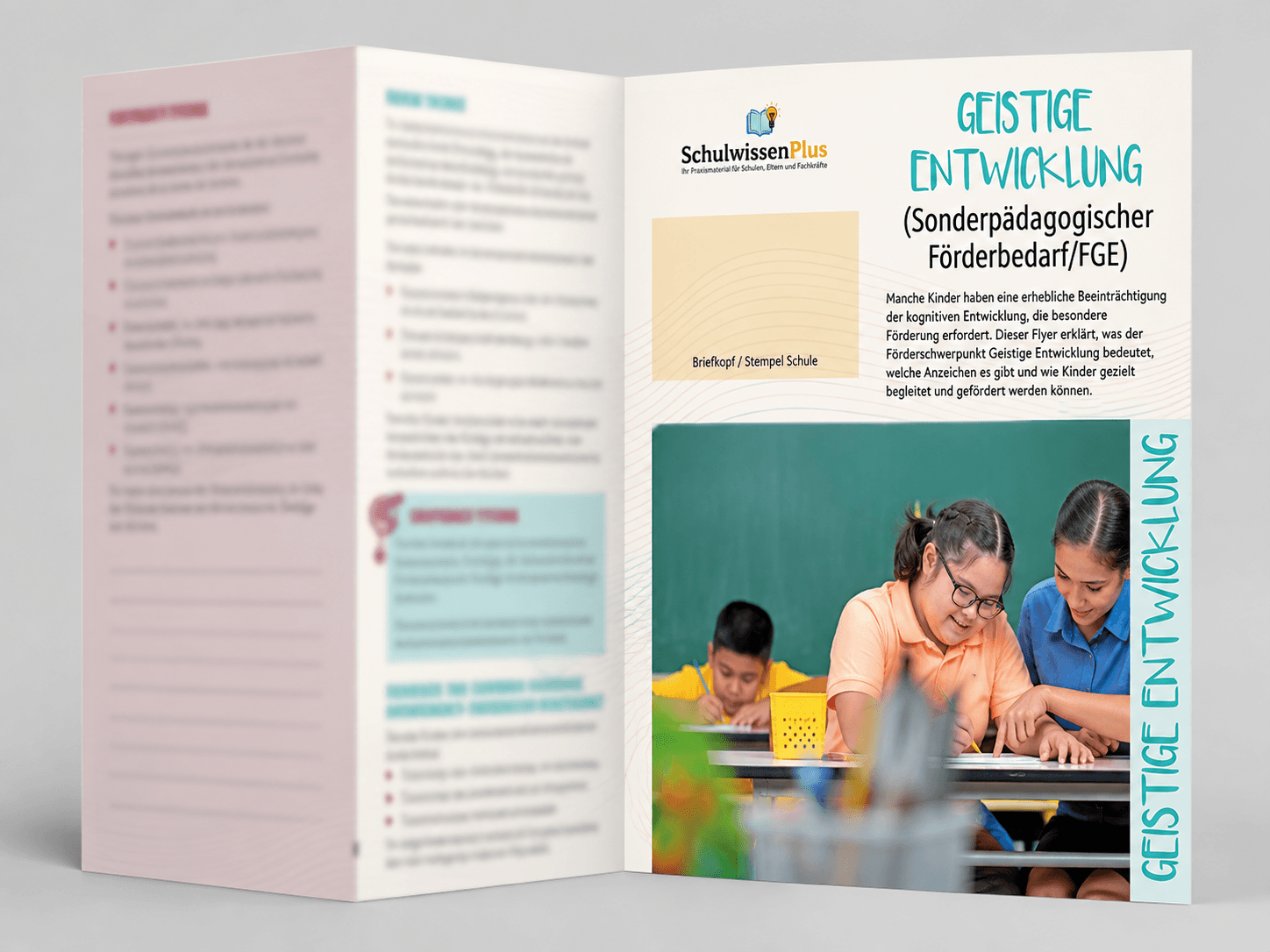 Geistige Entwicklung (Sonderpädagogischer Förderbedarf/FGE)